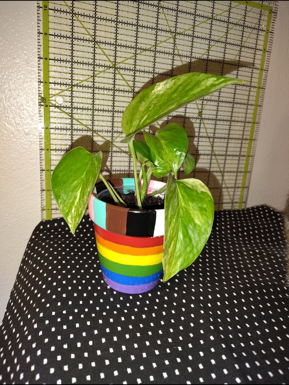 Pride planter